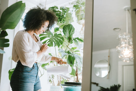 Transform Your Space with Hay Fever-Safe Indoor Plants: A Guide to the Top 10 Choices